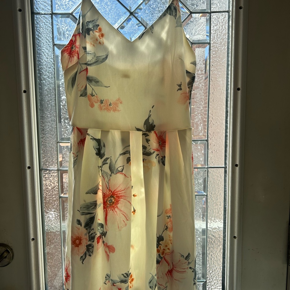 Floral Sleeveless Dress